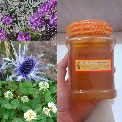 عسل طبیعی _اعلا چند گیاه 1000گرمی (ساکارز زیر 2 )(در حال رس بستن)(رفع درد مفاصل و استخوان ها و اعصاب و کمر درد)