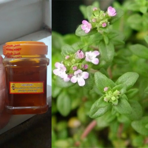 عسل طبیعی و اعلا آویشن 1000 گرمی (ساکارز پایین)(ضد گلو درد و سرفه _ تقویت کننده اعصاب )