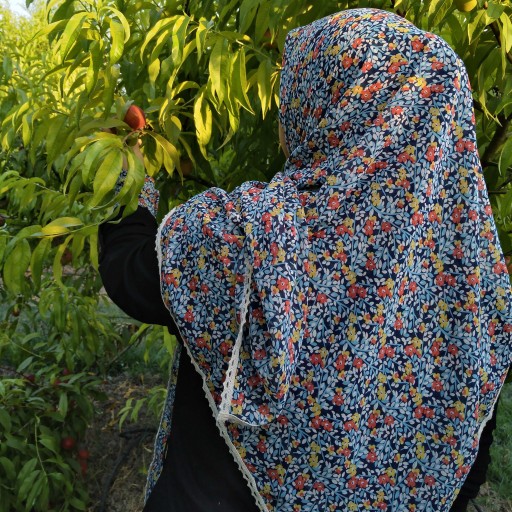 توضیحات تصویر