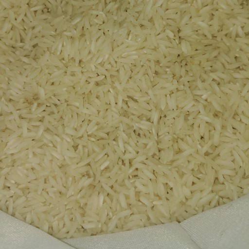 برنج هاشمی شمال 50 کیلویی سال 1400