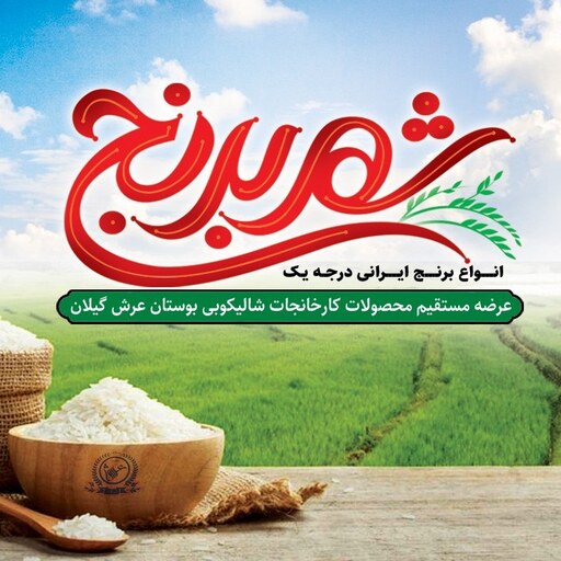 برنج طارم مازندران ( عمده )   50  کیلویی  ( تضمین کیفیت )