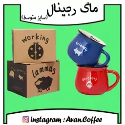 ماگ رجینال رنگی متوسط ( سرامیکی )