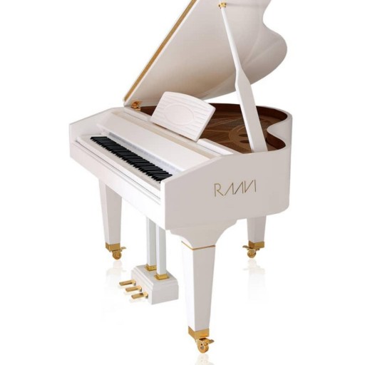 پیانو راوی مدل R110