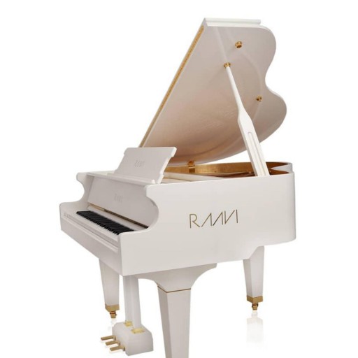 پیانو راوی مدل R140