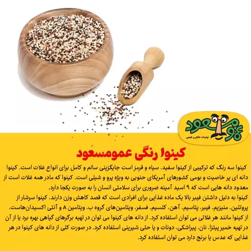 کینوا رنگی درجه یک عمو مسعود بسته 100 گرمی