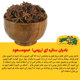 ادویه بادیان ستاره ای (رومی) شکسته درجه یک عمومسعود بسته 50 گرمی