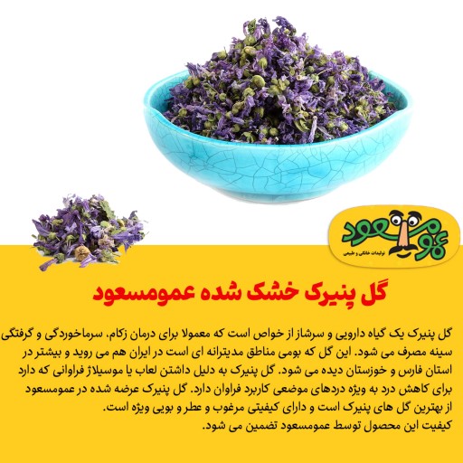 گل پنیرک خشک شده درجه یک عمومسعود بسته 50 گرمی