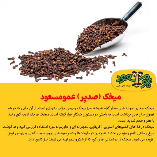 میخک (صدپر) درجه یک عمومسعود بسته 50 گرمی