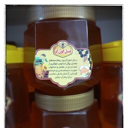عسل طبیعی   انگبین  یا  گون گز   مستقیم از زنبور دار