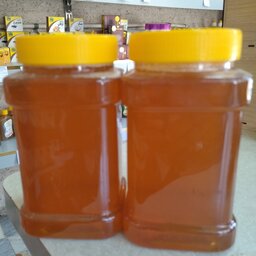 پک دو عددی عسل گون درجه یک ( 2000 گرم ) ارسال رایگان 