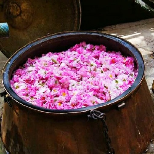 گلاب مخصوص نوچشمه کاملا طبیعی و ارگانیک تهیه شده به روش سنتی 15کیلو گرم گل حدودا(یک‌عدد ظرف یک لیتری)