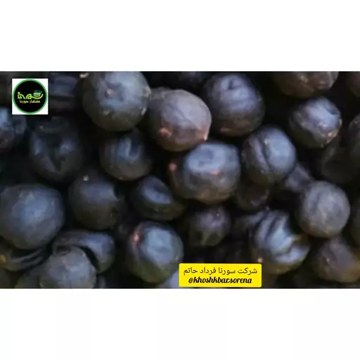 لیمو عمانی (سیاه)جهرم امساله درجه یک(لیمو کامل با پوست) در بسته بندی 500 گرمی