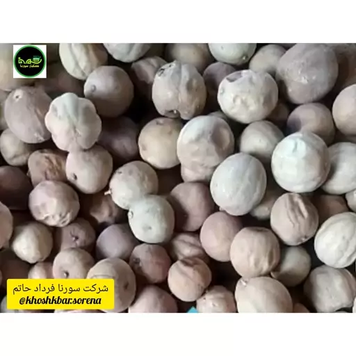 لیمو عمانی جهرم امساله درجه یک متوسط(لیمو کامل با پوست) در بسته بندی 100 گرمی