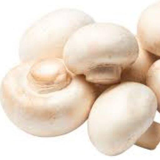 قارچ  فله ای اعلاء نیم کیلو گرمی(تازه و سفت و سفید و به صورت فله)