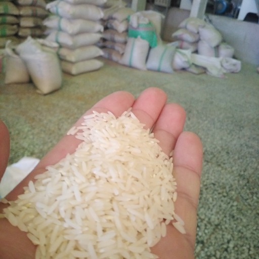 برنج طارم هاشمی تاپورستان 10 kg