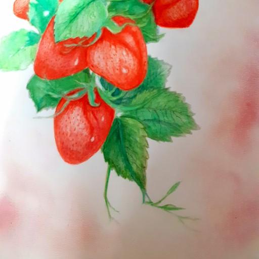 نقاشی آبرنگ طرح توت فرنگی قرمز
