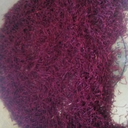 شکسته ونرمه زعفران قاین