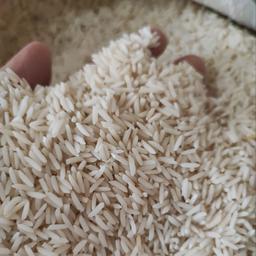 برنج  هاشمی  آستانه اشرفیه پارساله ، مستقیم از کشاورز   (5 کیلویی)