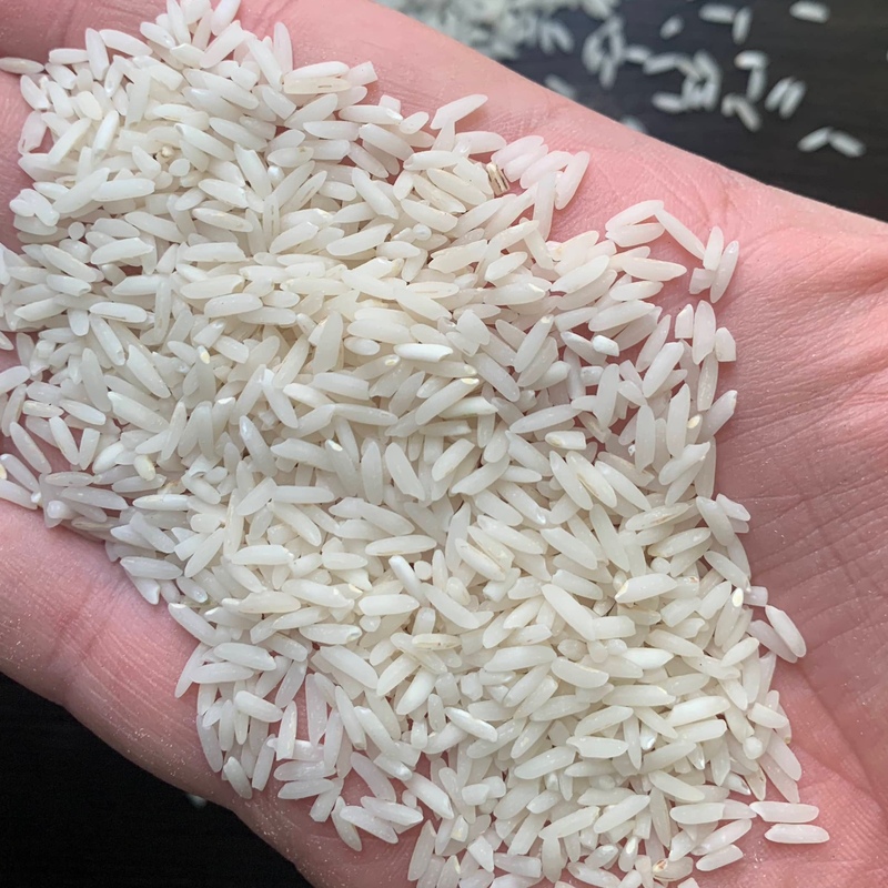 برنج طارم فریدونکنار 5 کیلیویی خوش عطر 