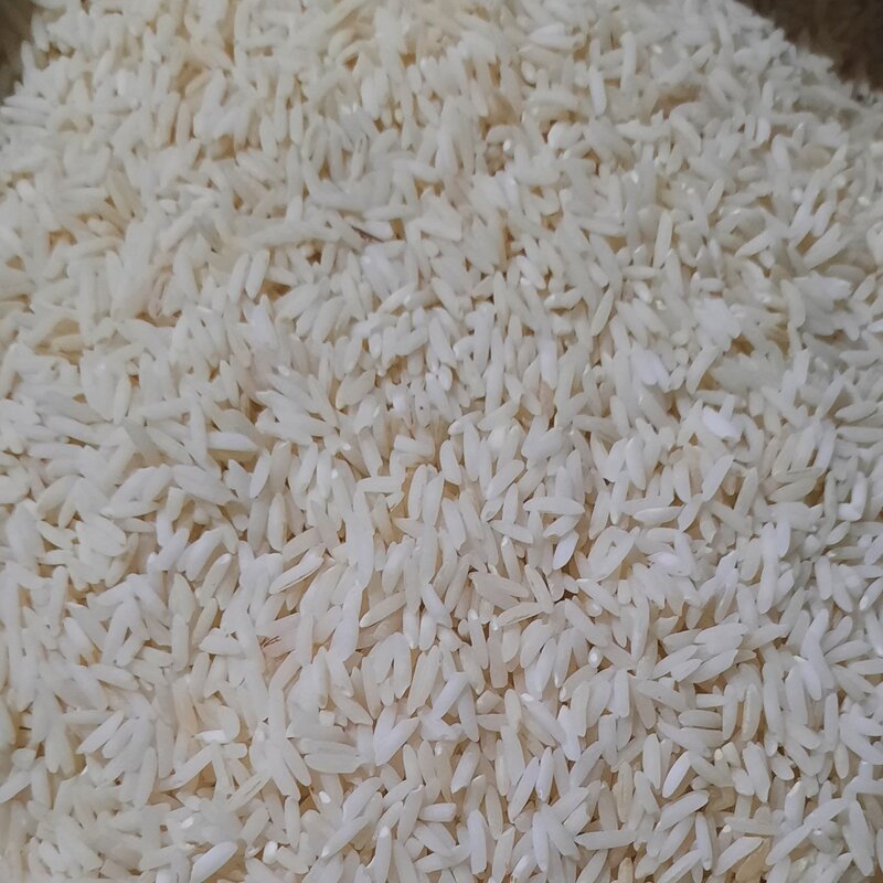 برنج  طارم هاشمی **کشت دوم ** 10 کیلو گرمی معطر و خوشپخت  خرید مستقیم از کشاورز