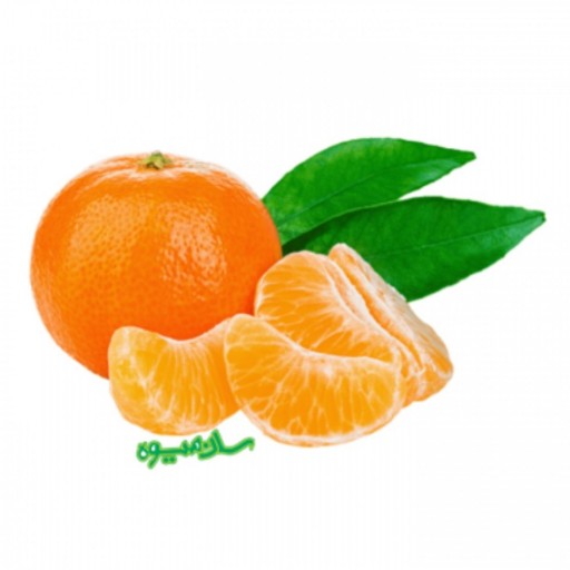 نارنگی پاکستانی ممتاز سان میوه