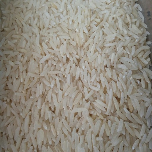 برنج استخوانی در جه 1 (10 کیلویی)(پارساله) ارسال به سراسر ایران رایگان 