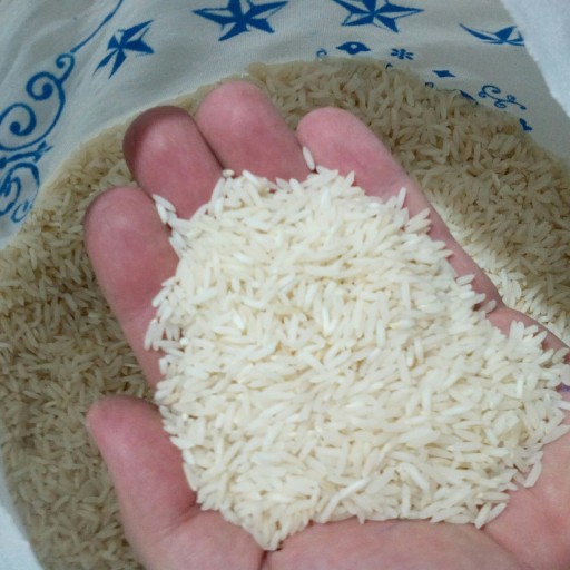 برنج طارم محلی درجه 1(10 کیلویی)