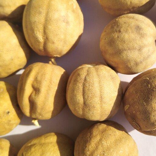 لیمو خشک طبیعی 1 کیلویی و تازه از باغات جنوب فارس اندازه درشت و متوسط 