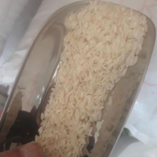 برنج طارم هاشمی درجه یک فریدونکنار 5 کیلویی