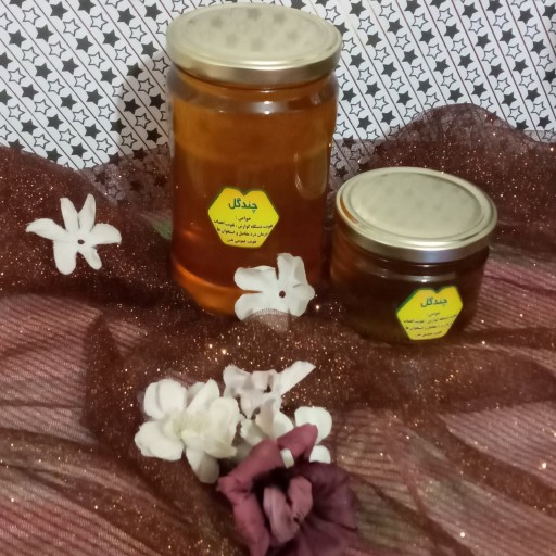 عسل طبیعی ،چندگل 900گرمی