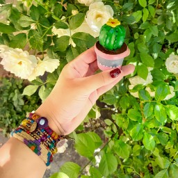 گلدان کاکتوس گچی نقاشی شده حدودا 5 و 8 و 10 سانتی متر (قابل سفارش هر طرح به صورت تکی)