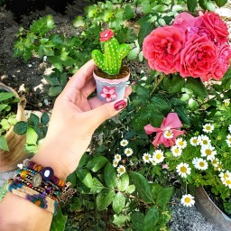گلدان کاکتوس گچی نقاشی شده حدودا 5 و 8 و 10 سانتی متر (قابل سفارش هر طرح به صورت تکی)