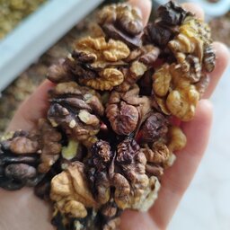 مغز گردو فسنجونی گوشتی چرب و خوشطعم درجه 2(نیم کیلو)