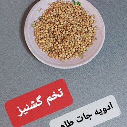 تخم گشنیز 