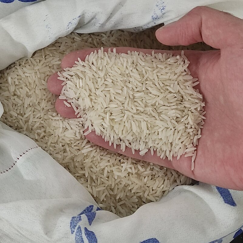 برنج طارم فجر اعلاء عطری (10 کیلویی) ضمانت کیفیت (امساله)