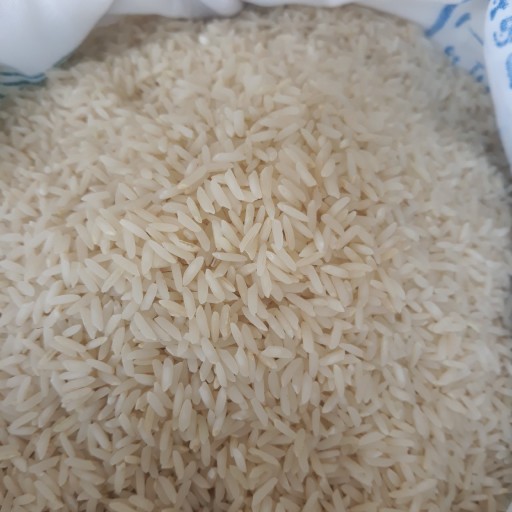برنج طارم محلی اعلاء فریدونکنار امساله (10کیلویی) ارسال رایگان برنج احسانی کناری