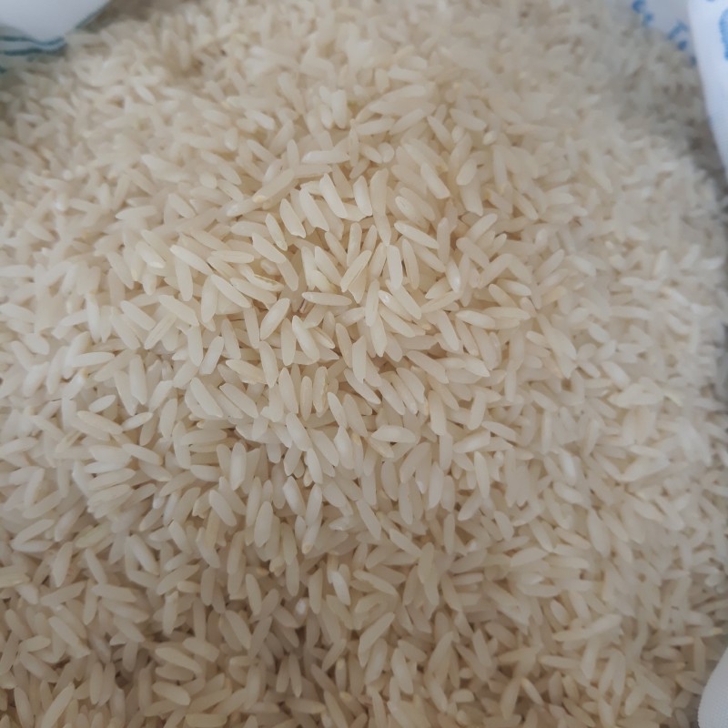 برنج طارم محلی فریدونکنار امساله (20 کیلویی) ارسال رایگان