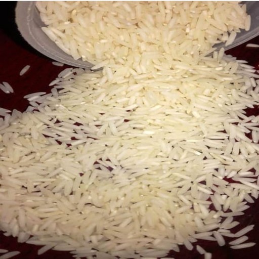 برنج طارم هاشمی(10 کیلوگرم)