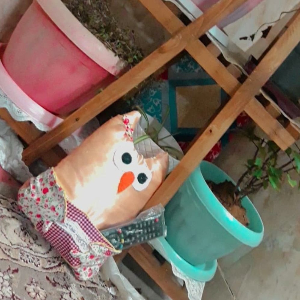جا کنترلی مدل جغد