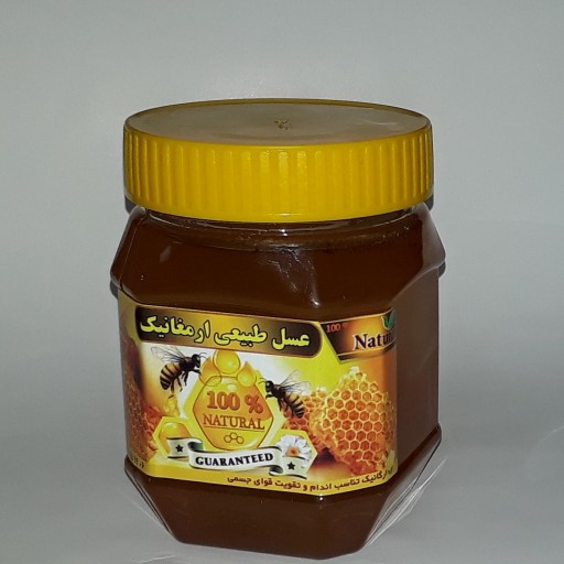 عسل گون 100 درصد طبیعی (500 گرم )