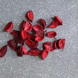 گل خشک قرمز رنگ