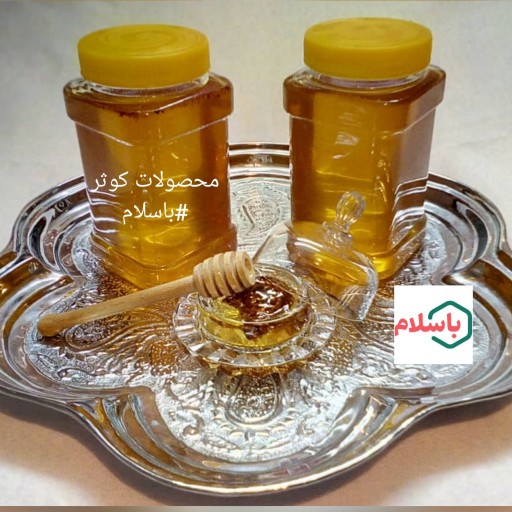 عسل طبیعی کوهستان یک کیلویی ( فروش ویژه مدت محدود)