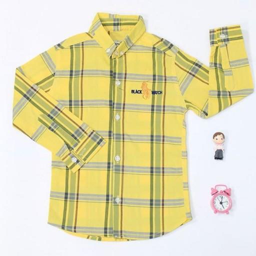 پیراهن چهارخانه پسرانه لمونی
زرد