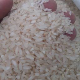 برنج کامفیروز درجه یک خوش پخت با تبع گرم  بسته ده کیلویی