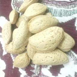 بادام سنگی صادراتی