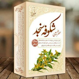 عطر شکوفه سنجد4 گرم 