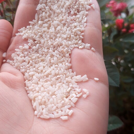نیم دانه برنج  طارم پاک شده (10کیلویی)