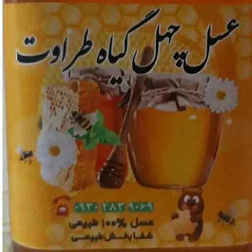 عسل کاملا طبیعی و اورگانیک یک کیلویی چهل گیاه طراوت