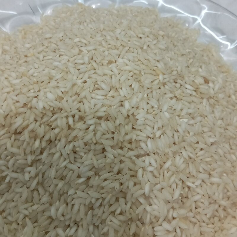 برنج عنبربو خوزستان درجه یک 500 کیلو  (تضمین کیفیت)معطر و خوش طعم    