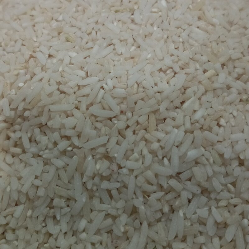 برنج سرلاشه کشت دوم طارم هاشمی فریدونکنار   امسالی 10 کیلویی معطر خوش پخت و درجه یک